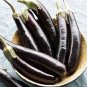 600 PCS Seeds Imported Japanese Early Black Long Eggplant Vegetable