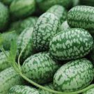 4 PCS Seeds Mexico Miniature Watermelon