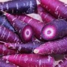60 PCS Seeds AFGHAN Purple (Black) Carrot Superfood