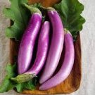 16 PCS Seeds Sichuan Corolla Light Purple Early Middle Maturing Long Eggplant Vegetable