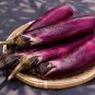 16 PCS Seeds Sichuan Corolla Light Purple Early Middle Maturing Long Eggplant Vegetable