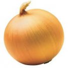 2000 PCS Seeds Allium Cepa Yellow Round Onions Vegetables