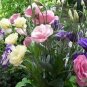 200 PCS Seeds Mixed Eustoma