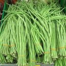 40 PCS Seeds Super Long Green Cowpea Organic Vegetables 40 PCS Seeds Super Long Green Cowpea Organic Vegetables