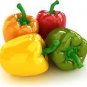 200 PCS Seeds Heirloom Long Giant Ox Horn Sweet Pepper Organic