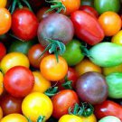 400 PCS Seeds Rare Wild Colorful Cherry Tomato Organic