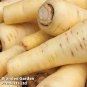 200 PCS Seeds Mixed Astilbe Chinensis