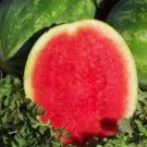 40 PCS Seeds Green Skin Red Sweet Watermelon 'Twins' Organic
