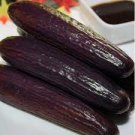 40 PCS Seeds Purple Black Japanese Long Cucumber