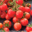 200 PCS Seeds 'Feng Tao' Bunches of Pink Red Cherry Tomato