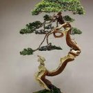 100 PCS Seeds Real Japanese Rare Rotundifolia Sen Nanyang Tree Bonsai