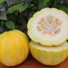 40 PCS Seeds Heirloom Yellow Green Sticky Sweet Melon