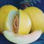 40 PCS Seeds Heirloom Yellow Green Sticky Sweet Melon