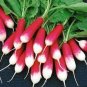 70 PCS Seeds Sausage Radish Seeds Balcony Potted Vegetable Fruit Belle Radish
