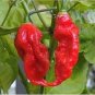 100 PCS Seeds Rare Indian Ghost Chili Pepper