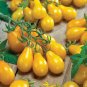 40 PCS Seeds Organic Pear