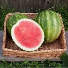 100 PCS Seeds Heirloom 'Xin Hong Bao' Big Long Sweet Red Watermelon Fruit