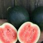 100 PCS Seeds Heirloom Sweet Black Skin Red Round Seedless Water Melon