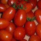 200 PCS Seeds Imported Tomato