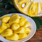 10 PCS Seeds Fresh Jackfruit Fruit 10 PCS Seeds Fresh Jackfruit Fruit