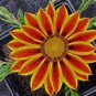 200 PCS Seeds Gazania Potted