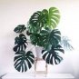 200 PCS Seeds Philodendron
