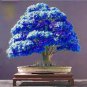 200 PCS Seeds Rhododendron Flower Easy to Grow Azalea Bonsai