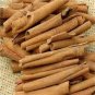 20 PCS Seeds Cinnamon Seeds Evergreen Tree