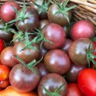 600 PCS Seeds Giant Tomato Black Red Organic Fruit