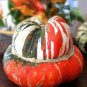 10 PCS Seeds Flower Goddess 'Burner' Pumpkin Ornamental Vegetables