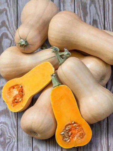 12 PCS Seeds Heirloom Light Yellow Long Sweet Cream Pumpkin Vegetable Organic