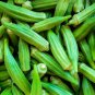 600 PCS Seeds Okra Dark Green Shot Gumbo Vegetables