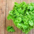 2 PCS Seeds 6 Types Of Lettuce Purple Red Green Vegetables 2 PCS Seeds 6 Types Of Lettuce Purple Red Green Vegetables