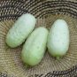 40 PCS Seeds Cucumber Bilyy Anhel-White Angel Organic Vegetable