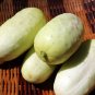 40 PCS Seeds Cucumber Bilyy Anhel-White Angel Organic Vegetable