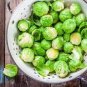 200 PCS Seeds Brussel Sprouts Italian Mezzo Nano Vegetables