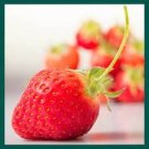 200 PCS Seeds New Variety Rarest Square Red Strawberry F1
