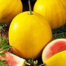 200 PCS Seeds Watermelon Yellow Skin Red Inside