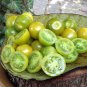 600 PCS Seeds Green Cherry Tomato 'Saintess' Organic