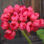100 PCS Seeds Tulip Bonsai Flowers Wedding Home Decorative (Color Mixed)