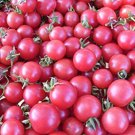 200 PCS Seeds Sweet Treats Hybrid Pink Cherry Tomato