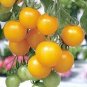 200 PCS Seeds Tomato Buratinorjs Light Orange Uniquely Shaped Fruit
