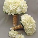 40 PCS Seeds Champagne Hydrangea Seeds Ice Cream Light Orange Flowers
