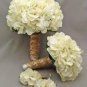 40 PCS Seeds Champagne Hydrangea Seeds Ice Cream Light Orange Flowers