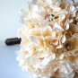 40 PCS Seeds Champagne Hydrangea Seeds Ice Cream Light Orange Flowers