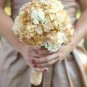 40 PCS Seeds Champagne Hydrangea Seeds Ice Cream Light Orange Flowers