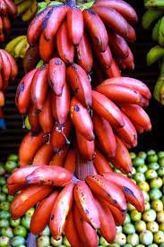 200 PCS Seeds Dwarf Banana Seeds Dark Red Skin