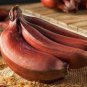 200 PCS Seeds Dwarf Banana Seeds Dark Red Skin