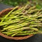 40 PCS Seeds Green Asparagus