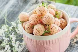 200 PCS Seeds Light Red Pineberry with White Berries